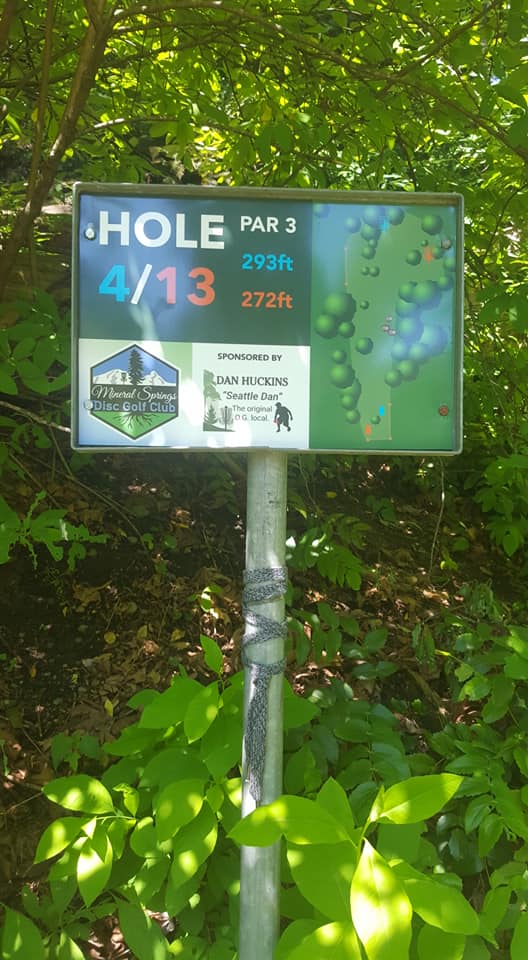 Mineral Springs Park Hole 4