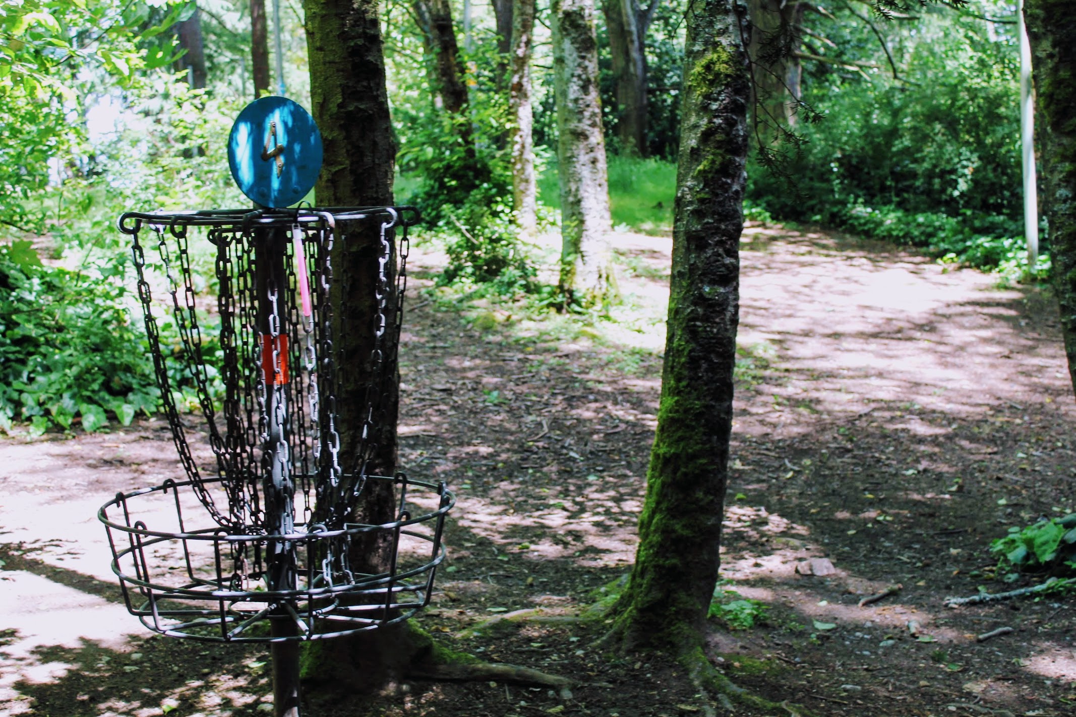 Come Learn how to Disc Golf!