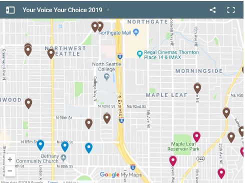 Your Voice, Your Choice Projects 2019
